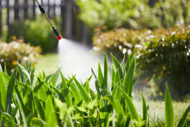 24/7 Emergency Mosquito Control experts in Rexland Acres, CA