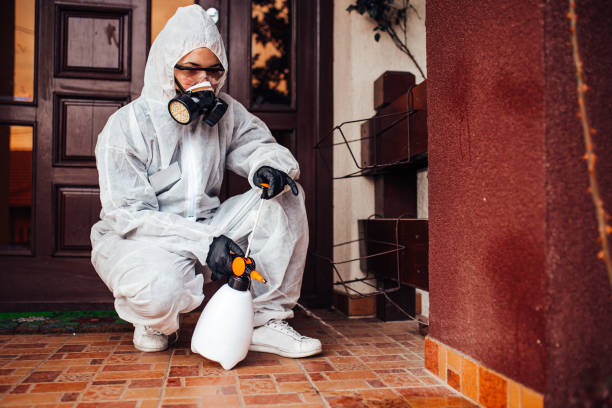 Reliable Mosquito Control contractor in Rexland Acres, CA by Show Me Pest Control